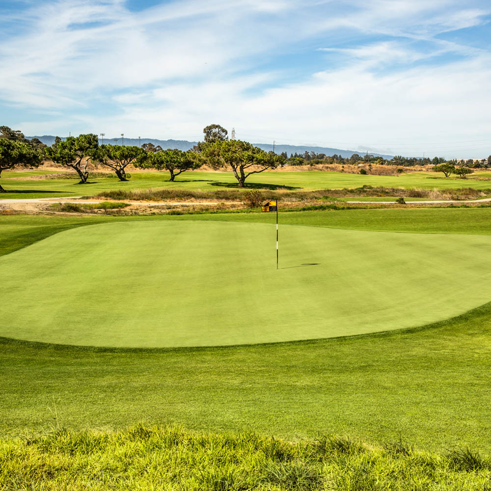 Pure Select Bent Grass Seed Bag