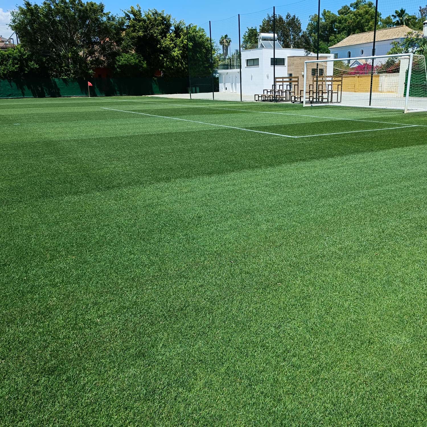 Rio Lawn