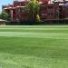 Rio Lawn