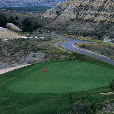 Salt Tolerant Bent Grass