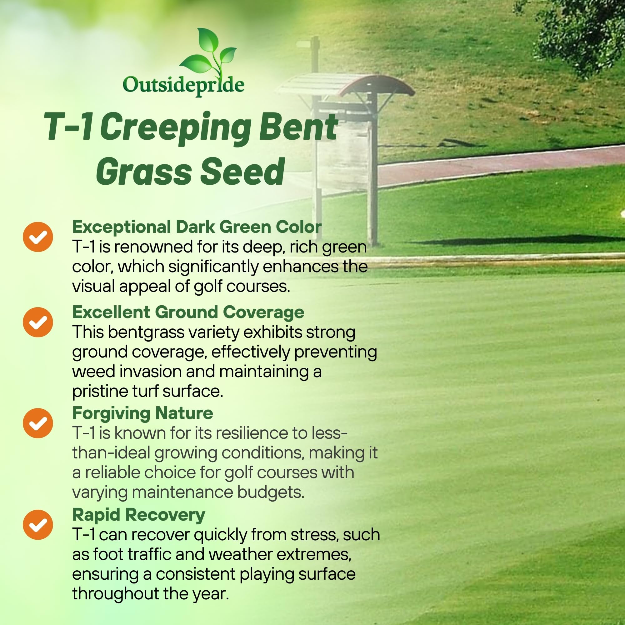T-1 Putting Green Short
