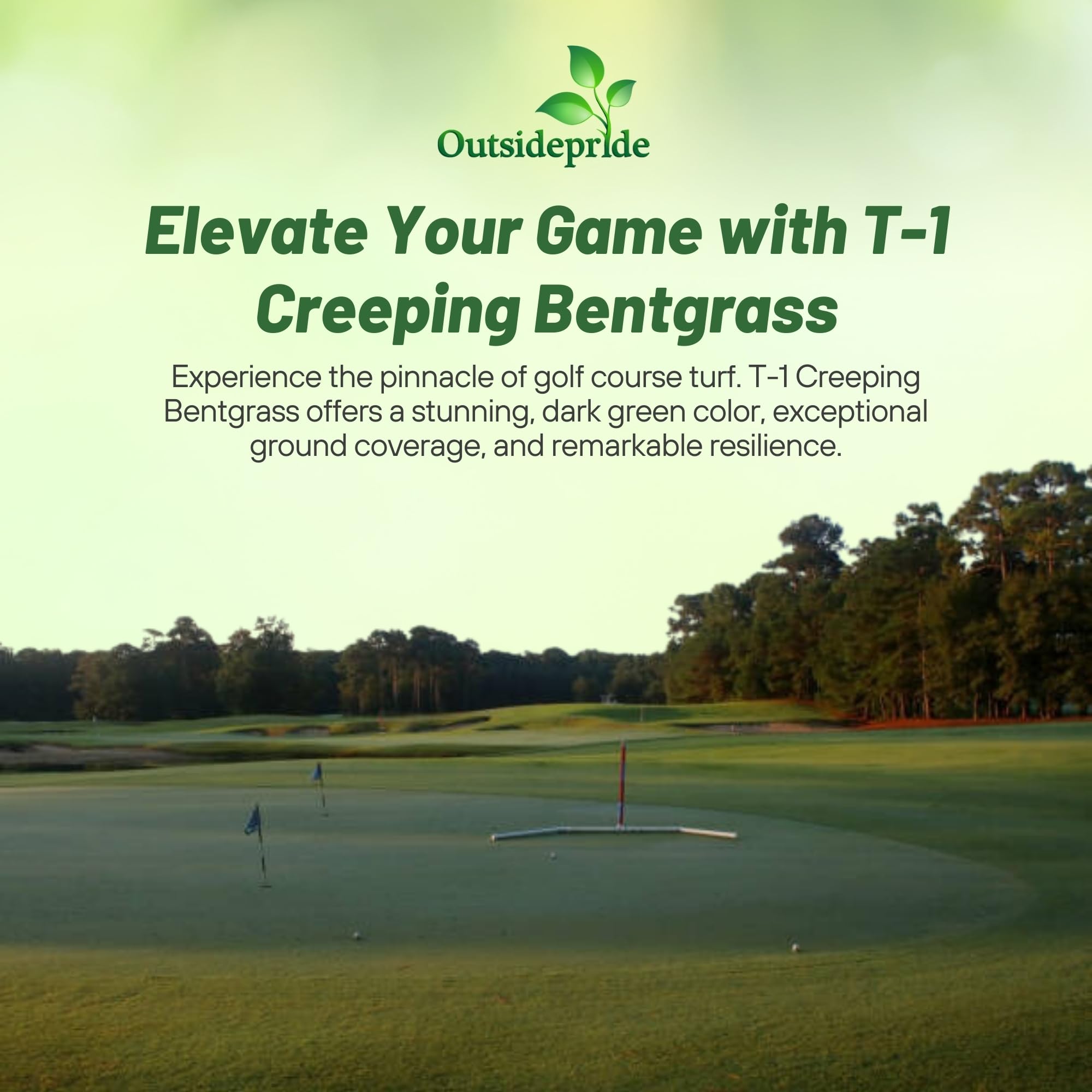 T-1 Putting Green For Golf