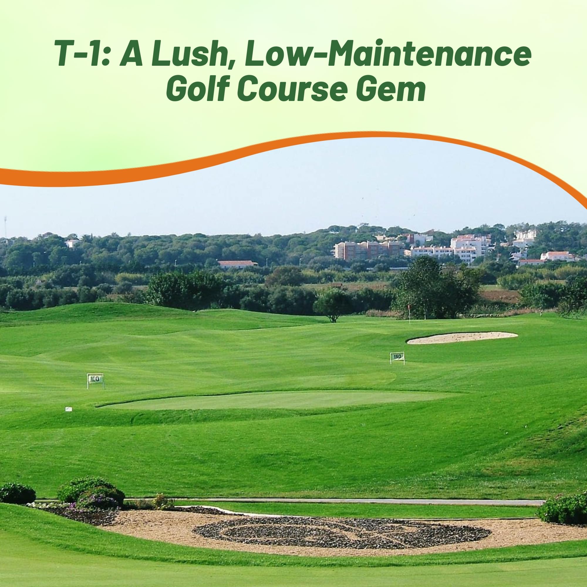 T-1 Putting Golf Green