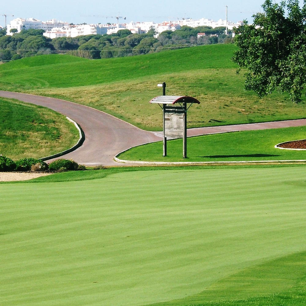 T-1 Putting Green