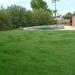 Xeriscape Warm Season Grass