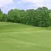 Yukon Bermuda Golf Green Grass