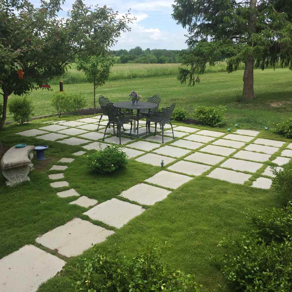 Moss As A Low Maintenance Log Cabin Landscape