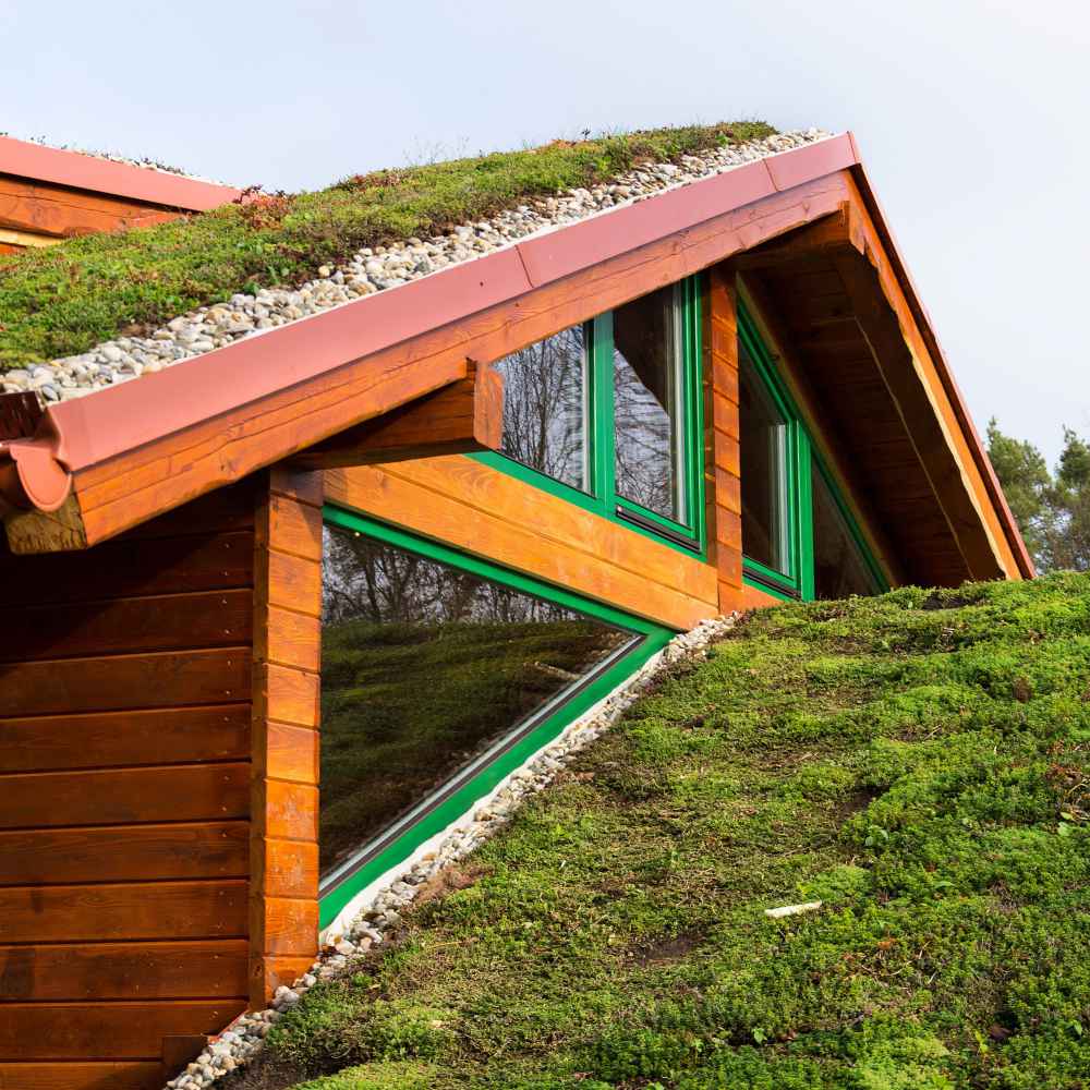 How About A Living Roof?