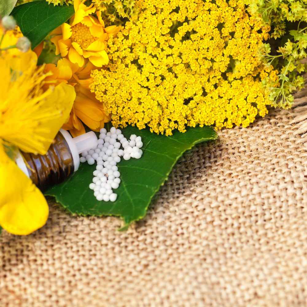 Achillea Drought Tolerant Yarrow Seeds For Dwarf Ground Cover ...