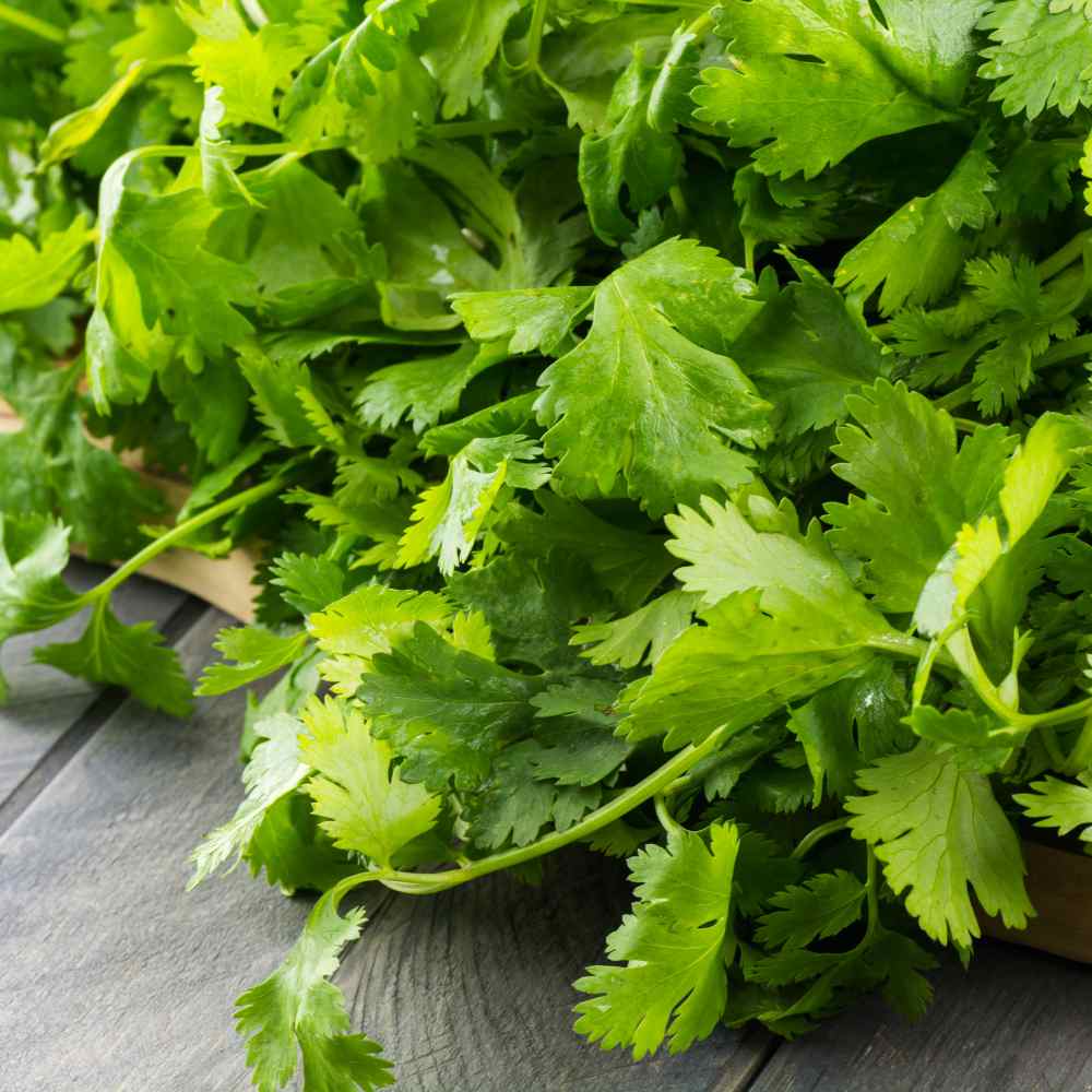 Fragrant Herb