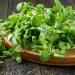 corn salad plant