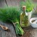 Dill Herb Culinary Uses