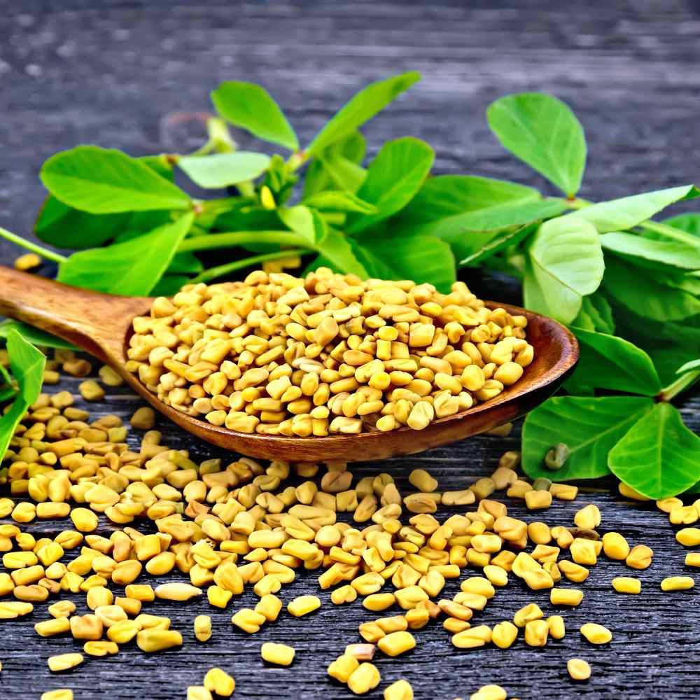 Fenugreek Seeds Diarrhea At Ardith Gordon Blog