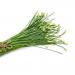 Chives Garlic On Cutting Board