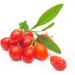 Perenial Goji Berry Plant Seeds