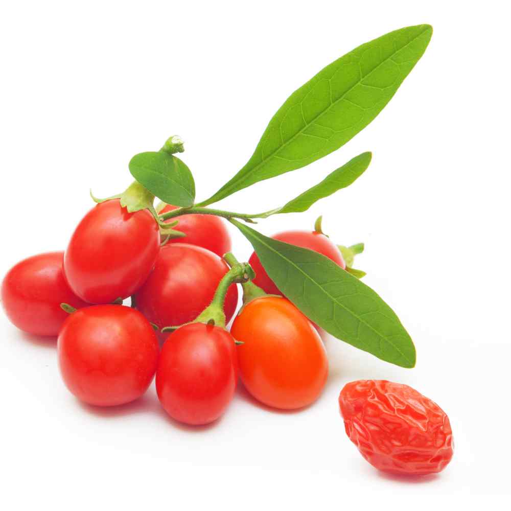 Seeds. Seeds Goji Berry 'Synthia' NEW CULTIVAR Sweeter and Self-fertile