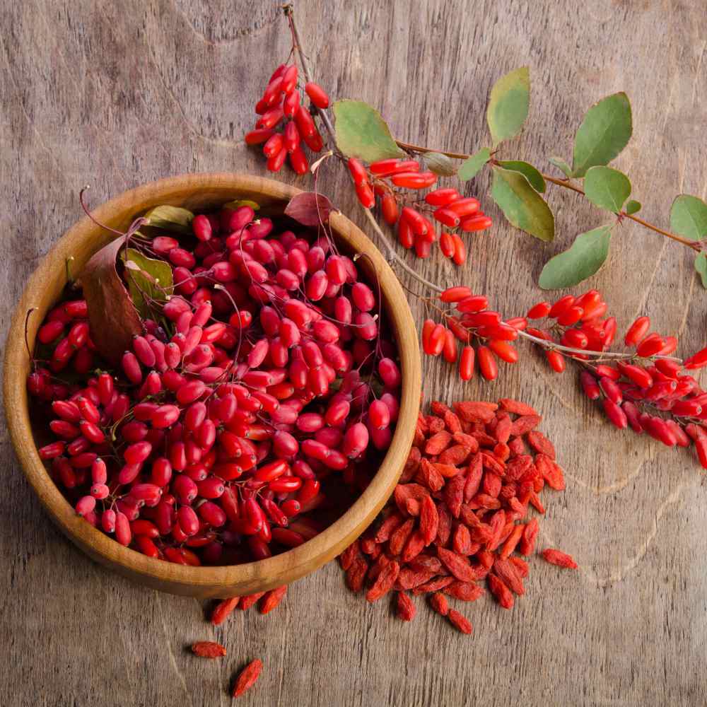 Goji berry sales