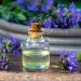 Hyssop Essential Oil