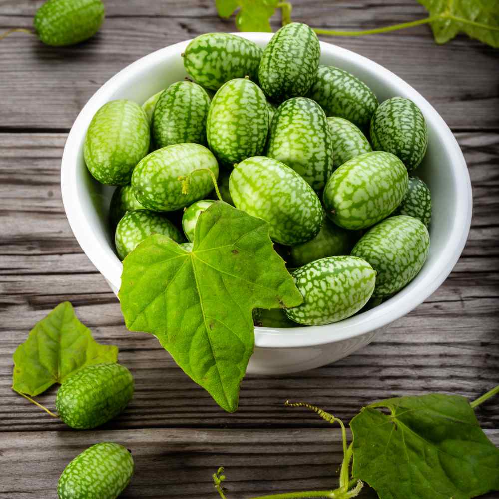 Mouse Melon Fruits In Bowl