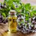 Wild Oregano oil