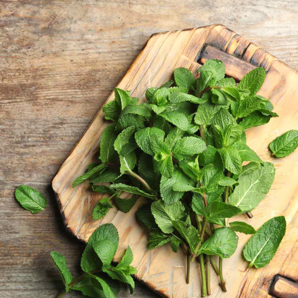 Spearmint Seeds