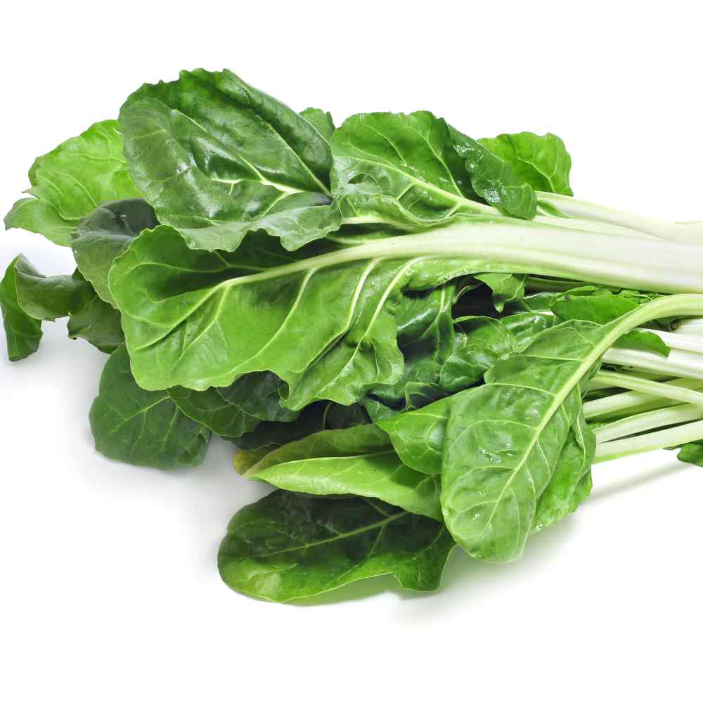 Swiss Chard Seeds | Green