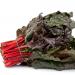 Cut Swiss Chard Red Herb Plant