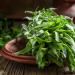 Flowering Tarragon Herbs on Plate