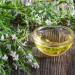 Winter Savory Flowers