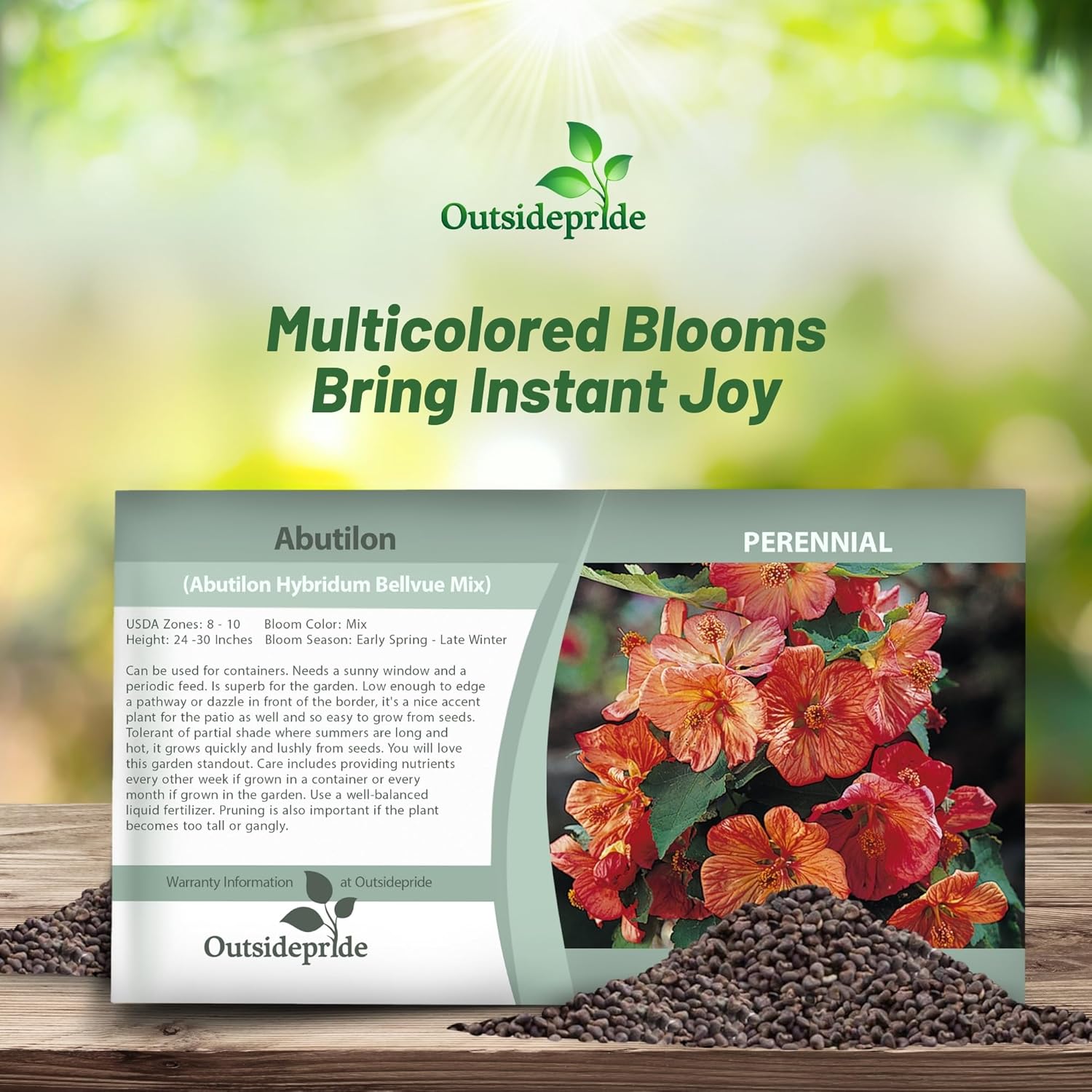 Abutilon Flower Seed Packet For Planting