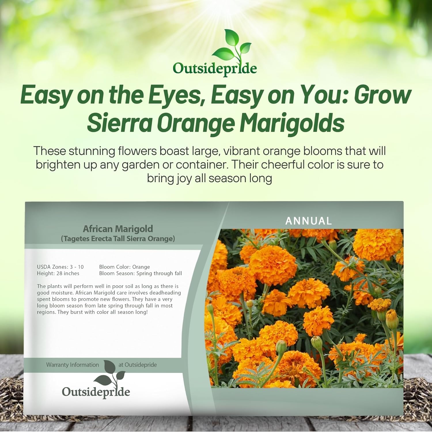 African Marigold Orange Seed Packet