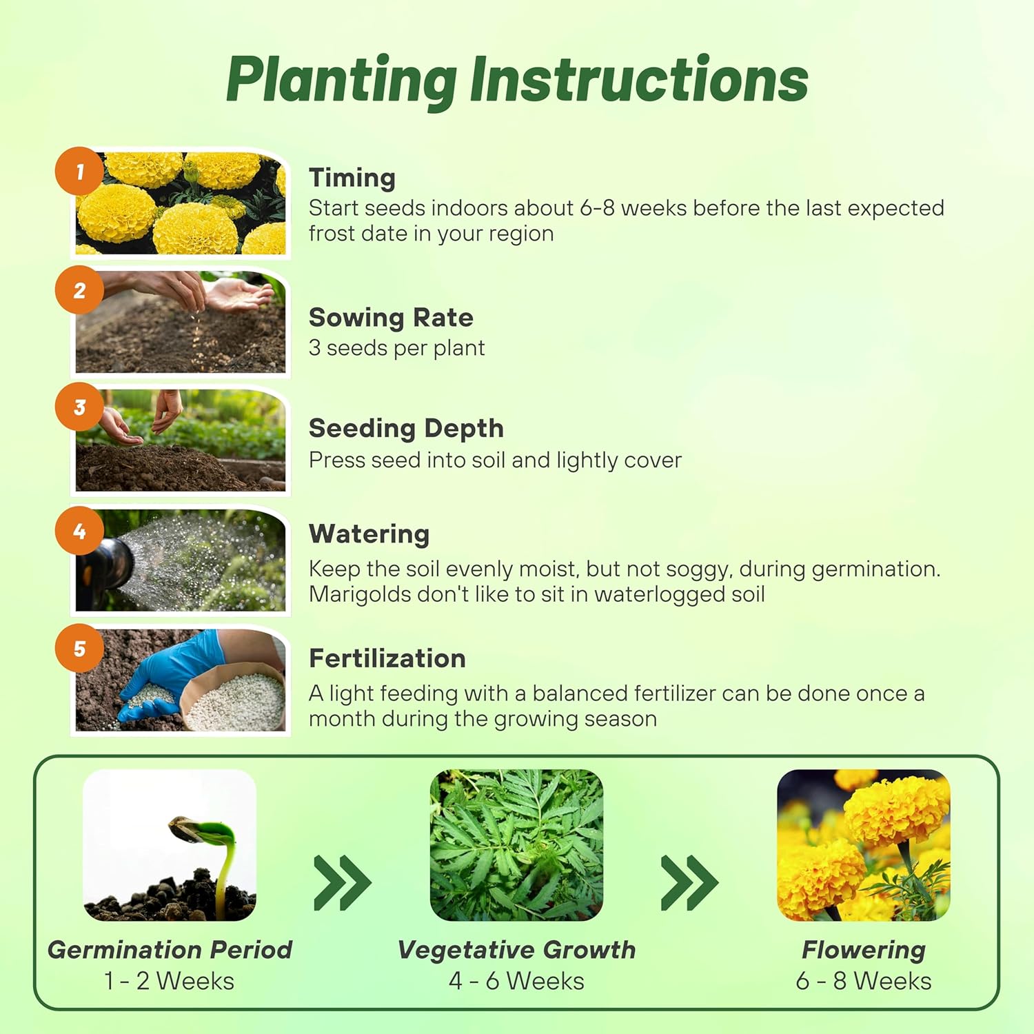 African Marigold Yellow Planting Directions