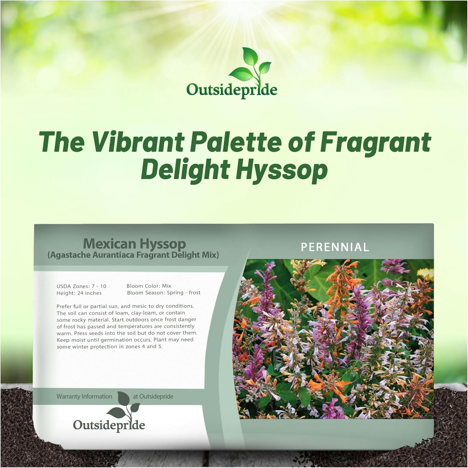 Agastache Fragrant Delight Seed Packet For Planting