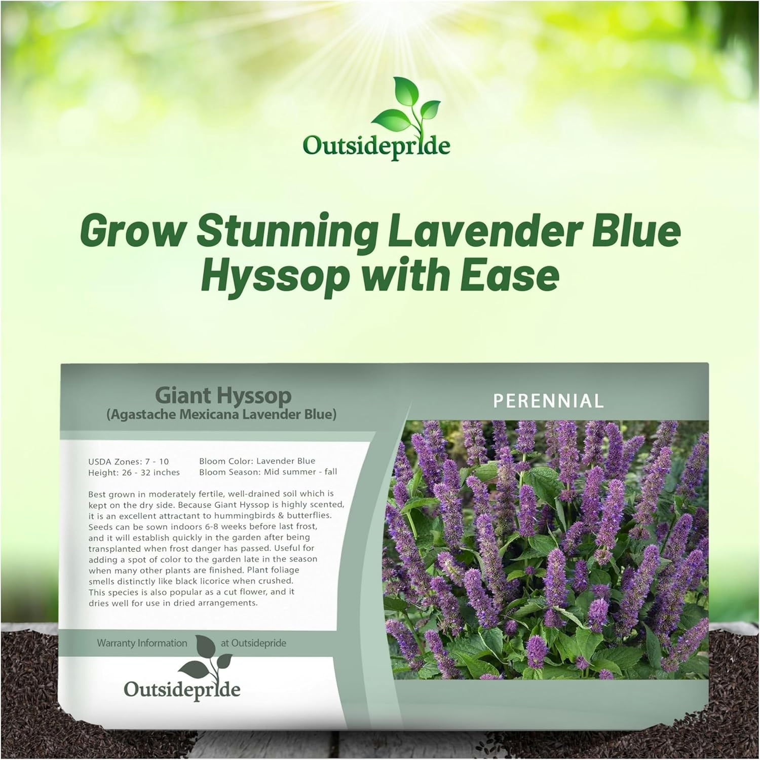 Agastache Lavender Blue Seed Packet For Planting