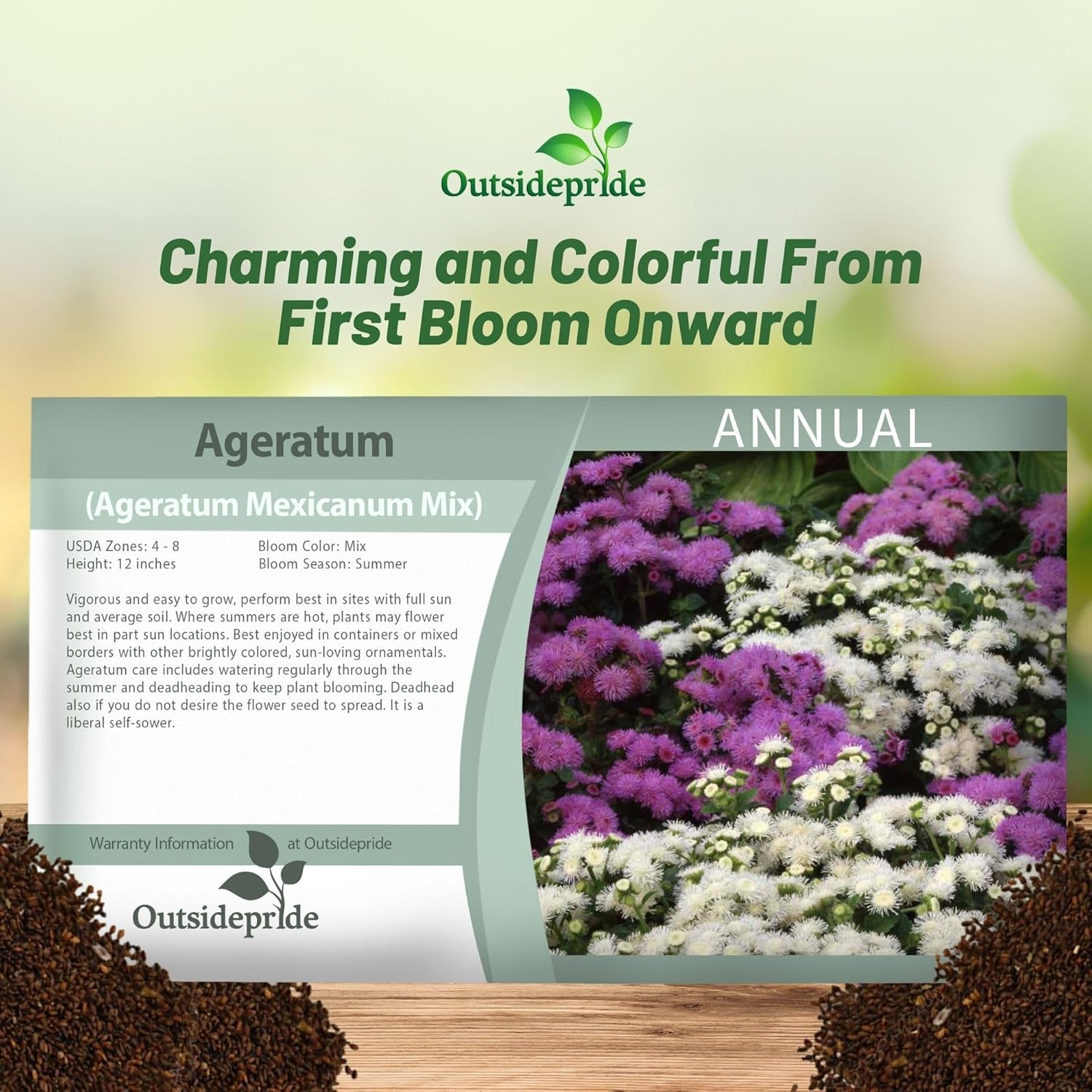 Ageratum Mix Seed Packet For Planting