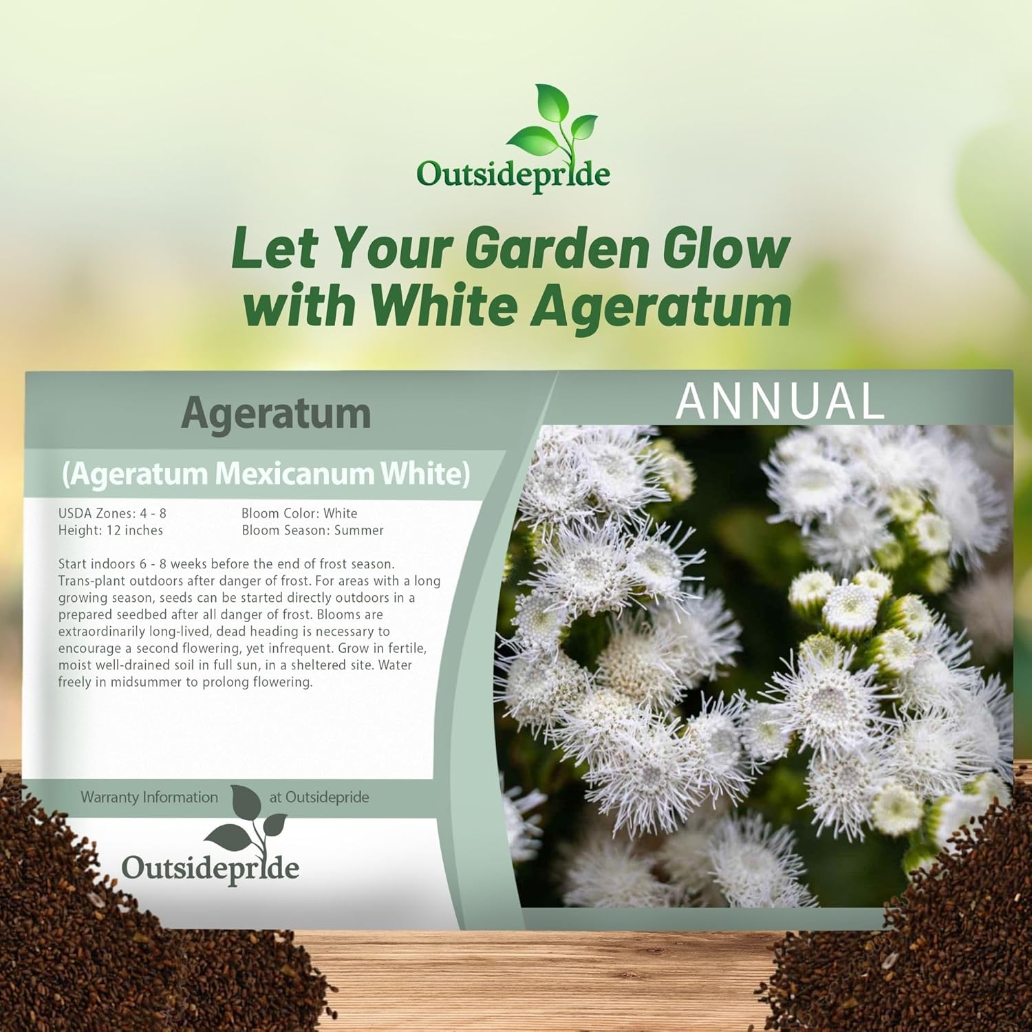 Ageratum White Seed Packet For Planting
