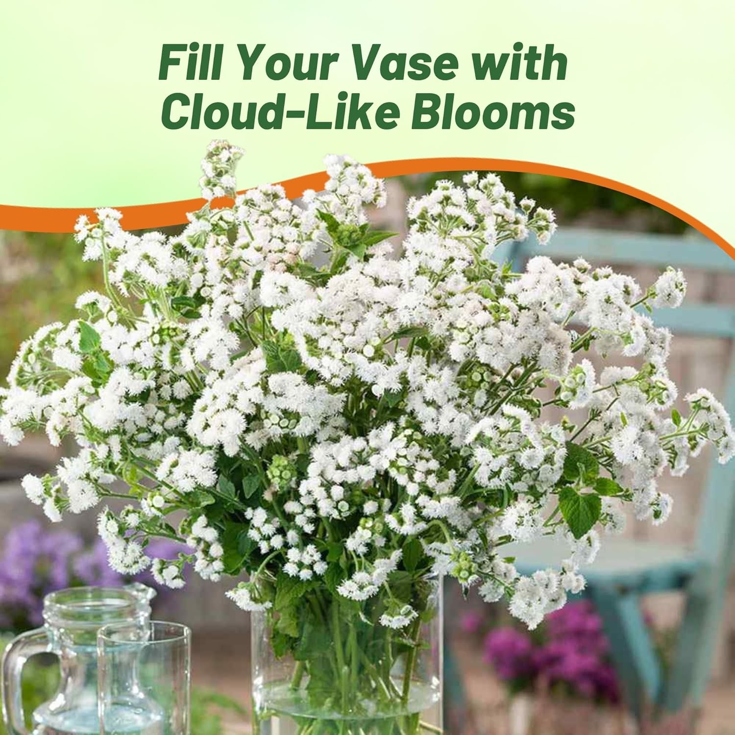 Ageratum White Container Plants