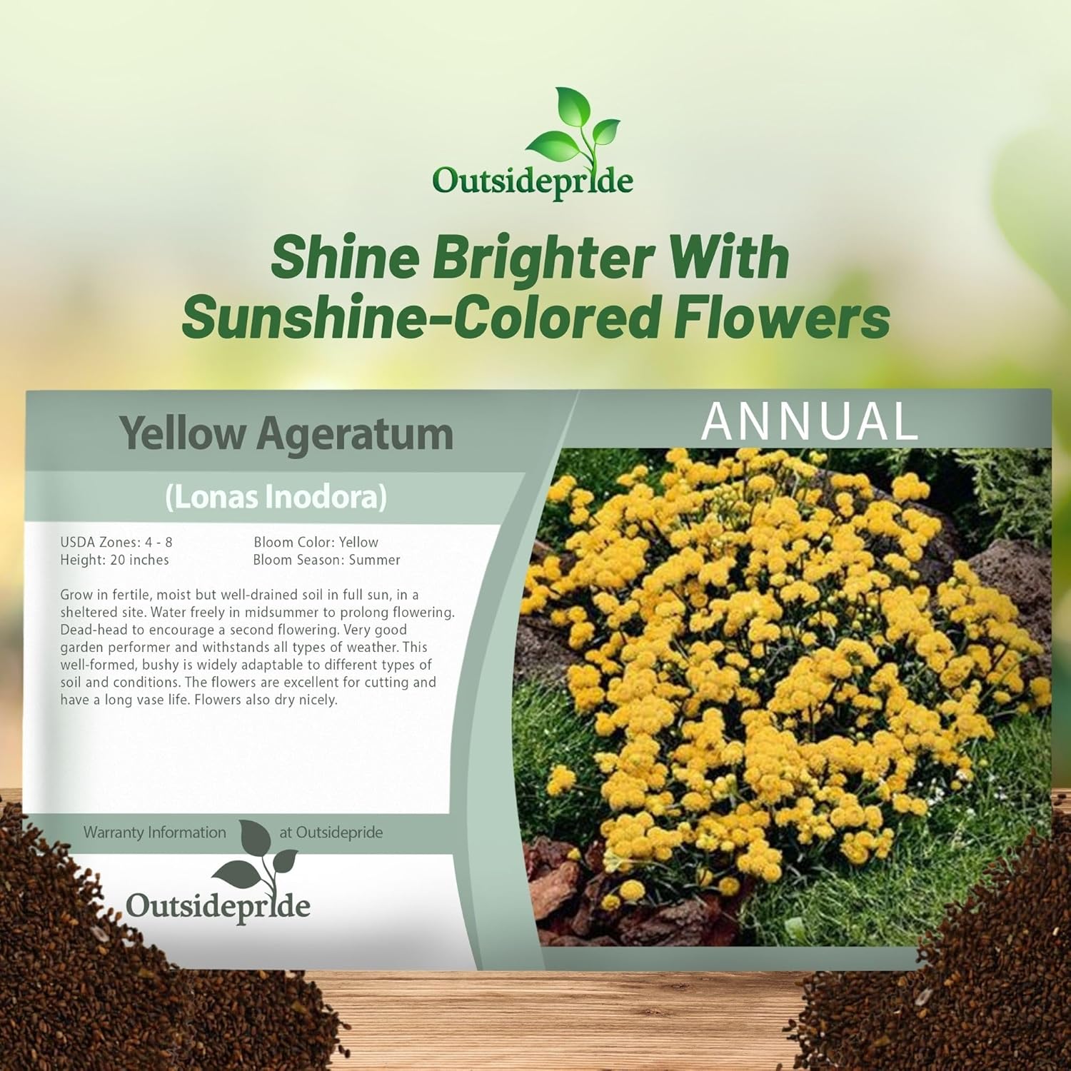 Ageratum Yellow Seed Packet For Planting