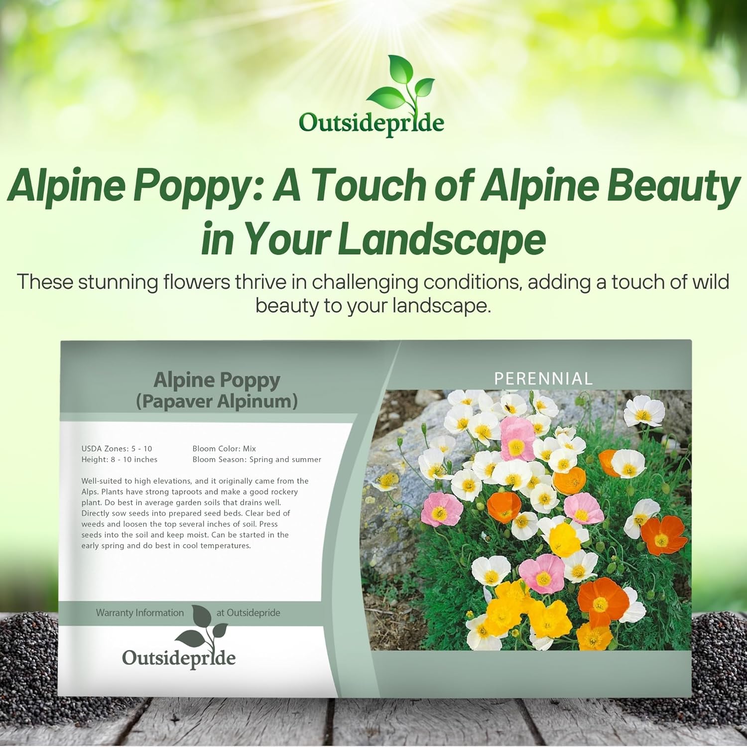 Poppy Alpine Seed Packet