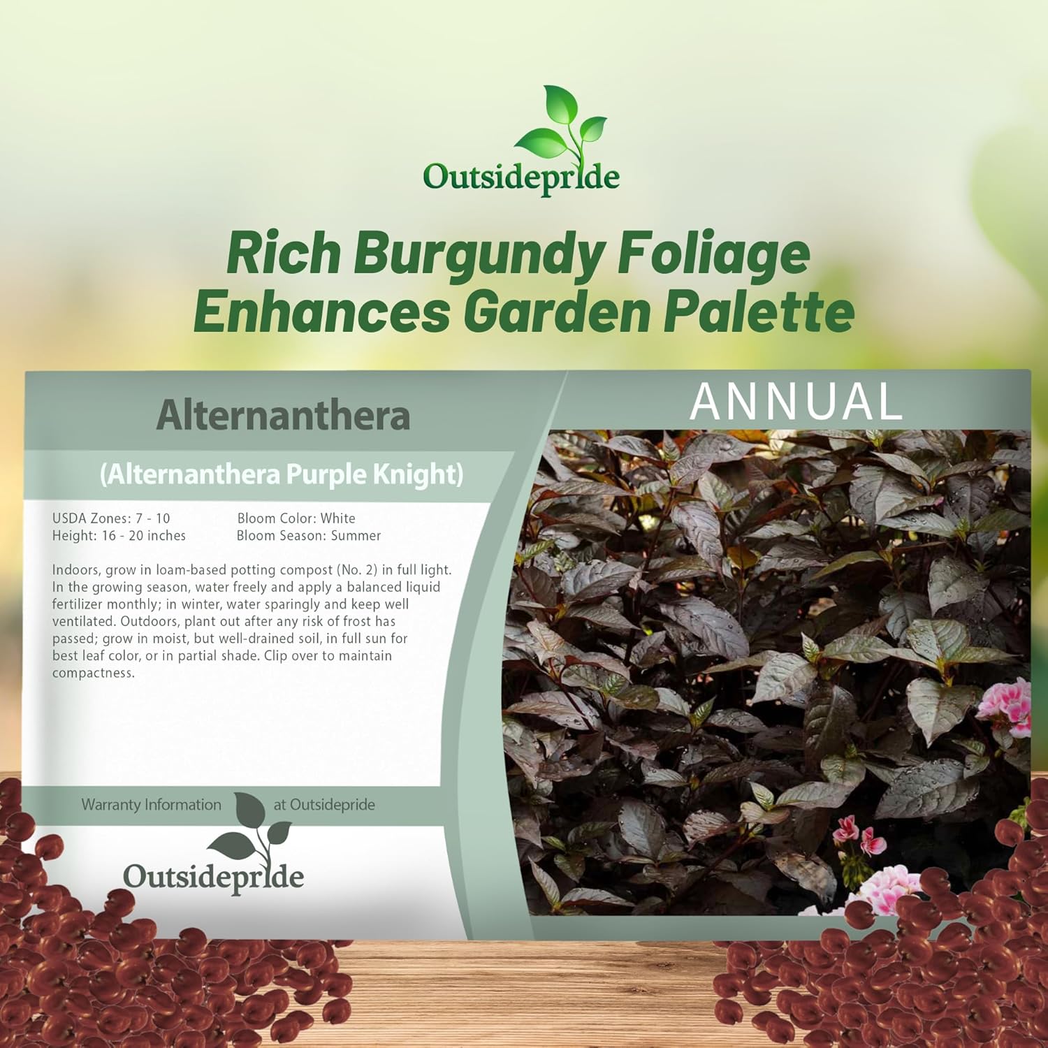 Alternanthera Seed Packet