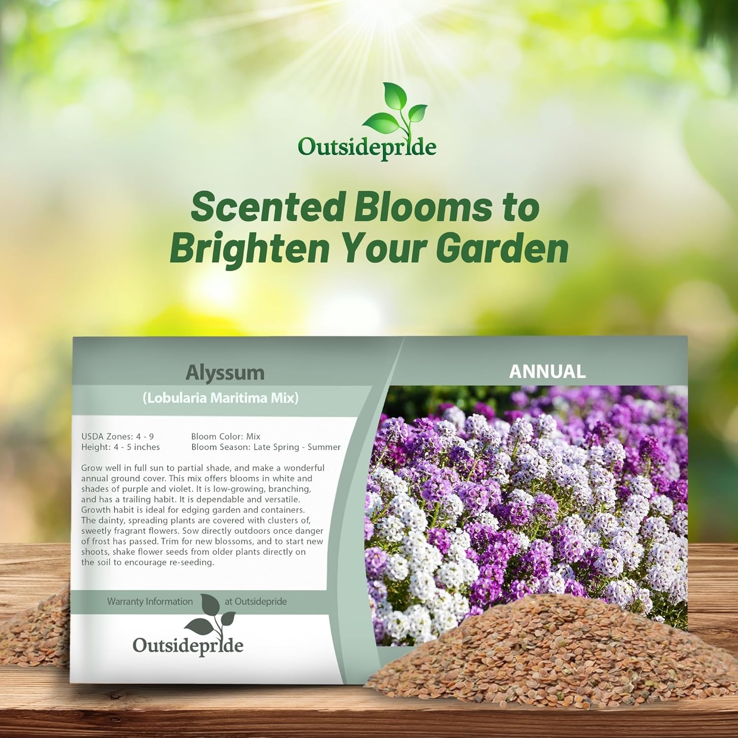 Sweet Alyssum Seed Packet