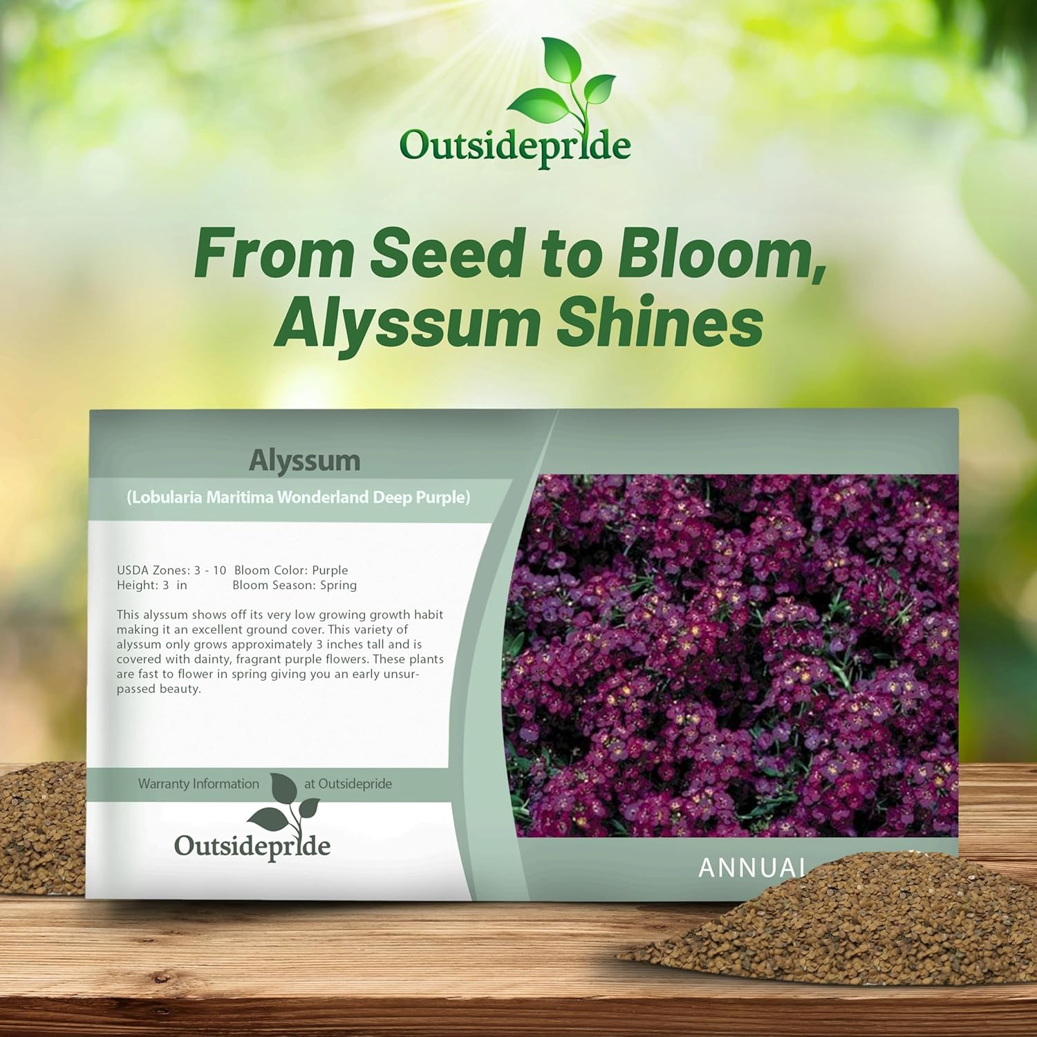Alyssum Wonderland Purple Seed Packet