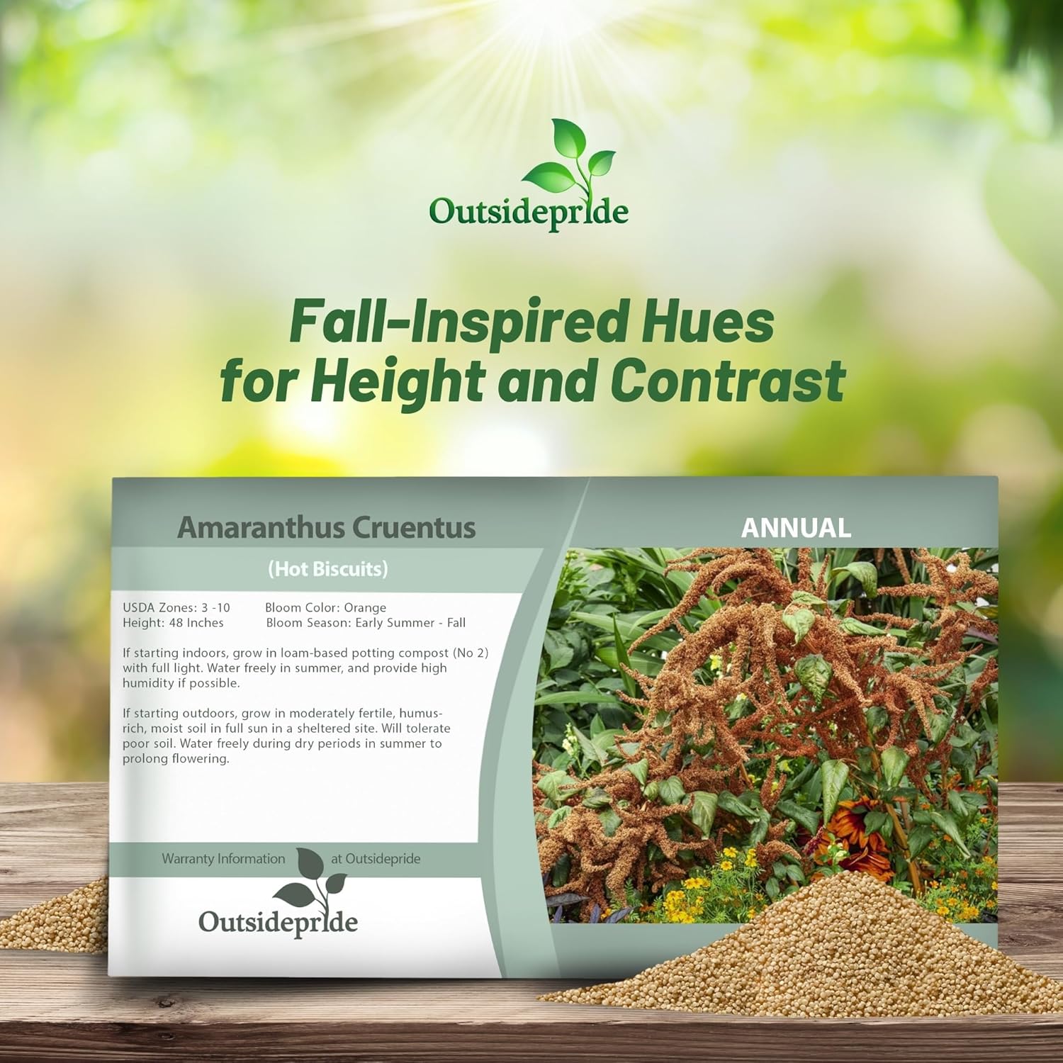 Amaranthus Hot Biscuits Seed Packet