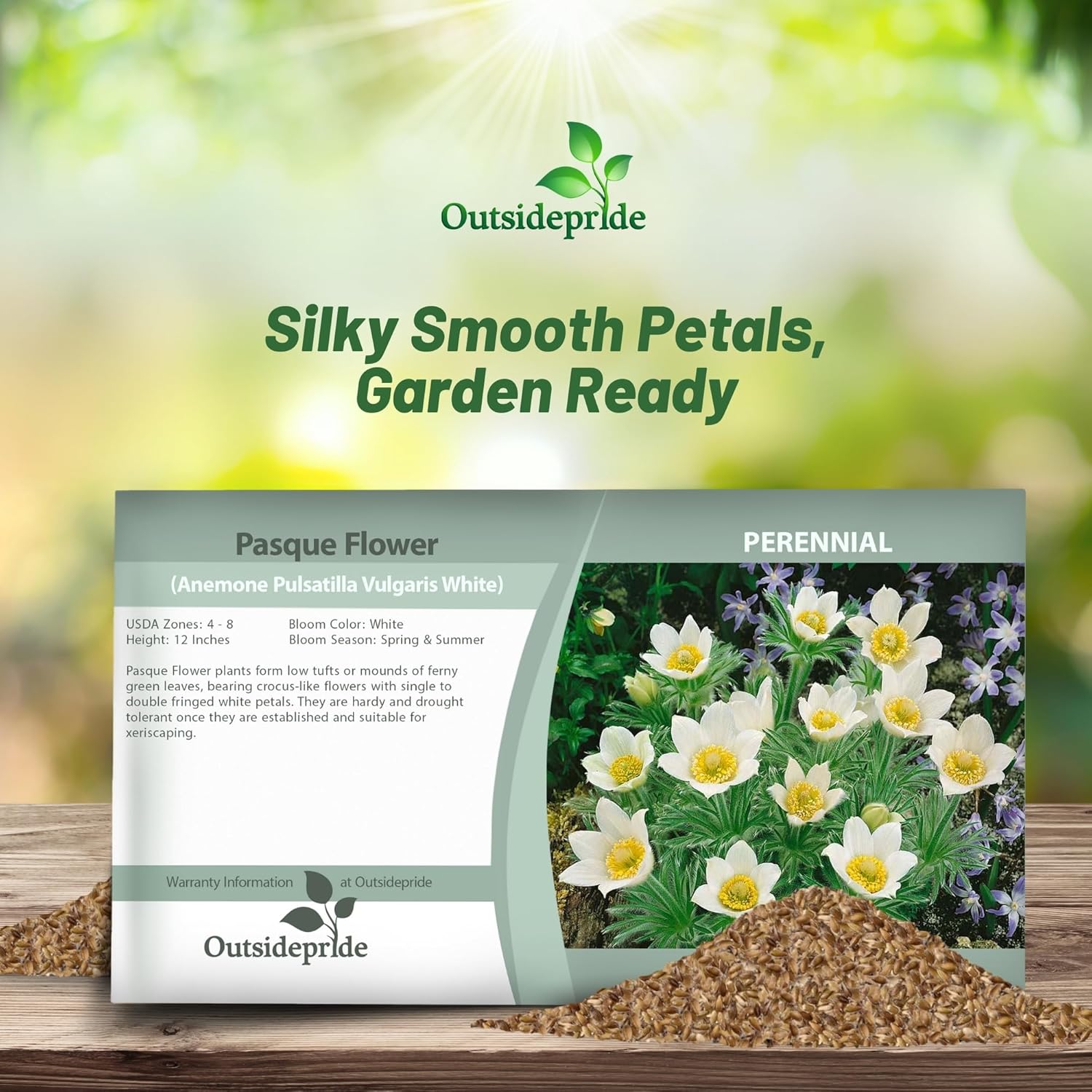 Anemone Vulgaris White seed Packet