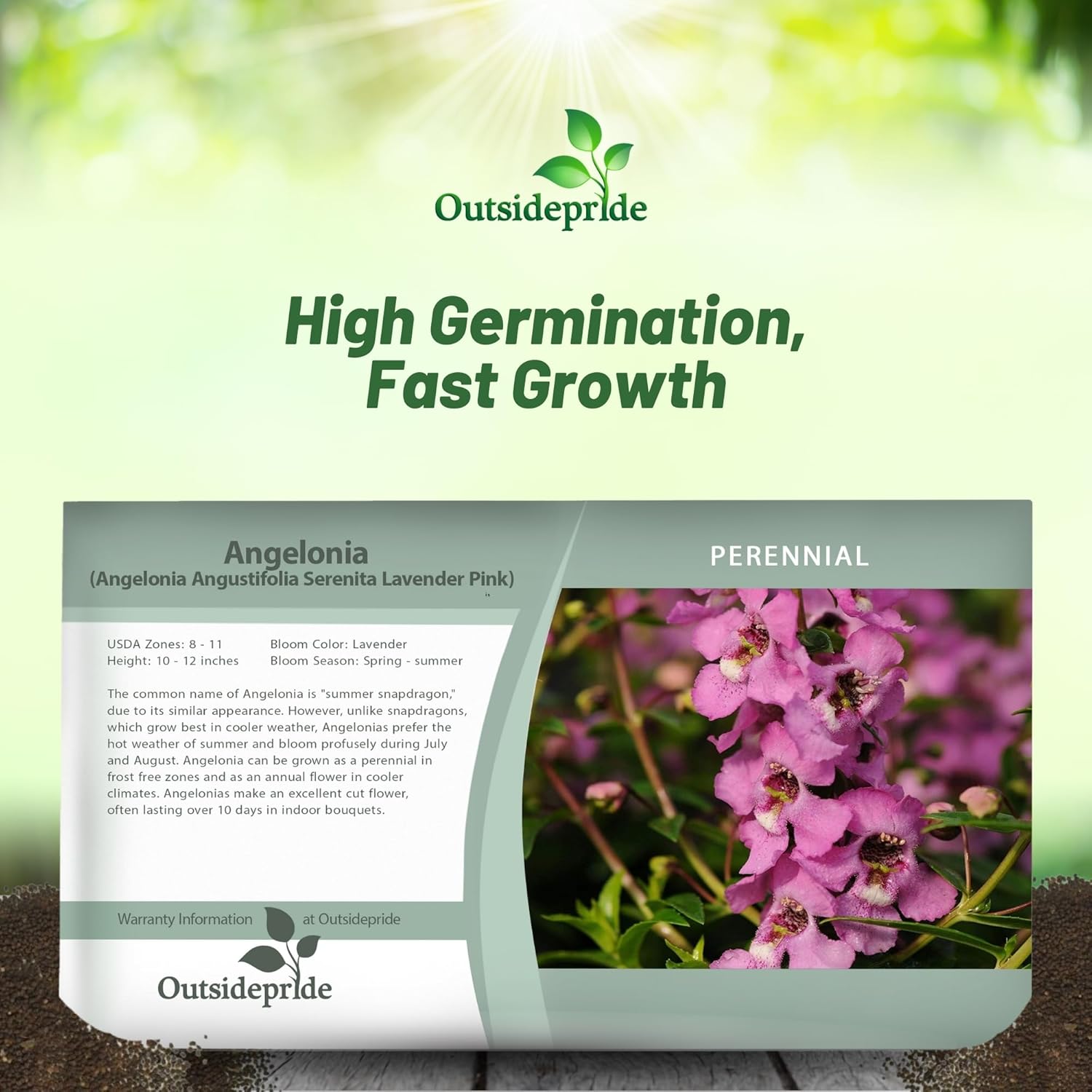 Angelonia Serenita Lavender Pinkm Seed Packet