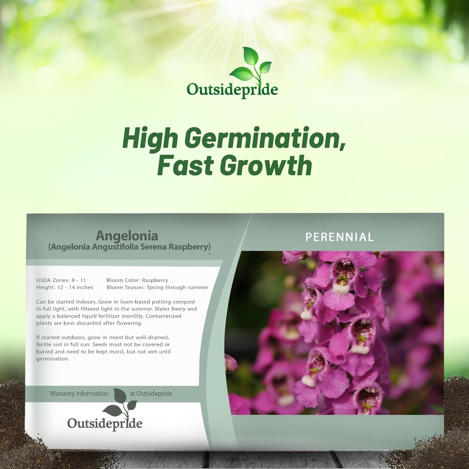 Angelonia Serenita Raspberry Seed Packet