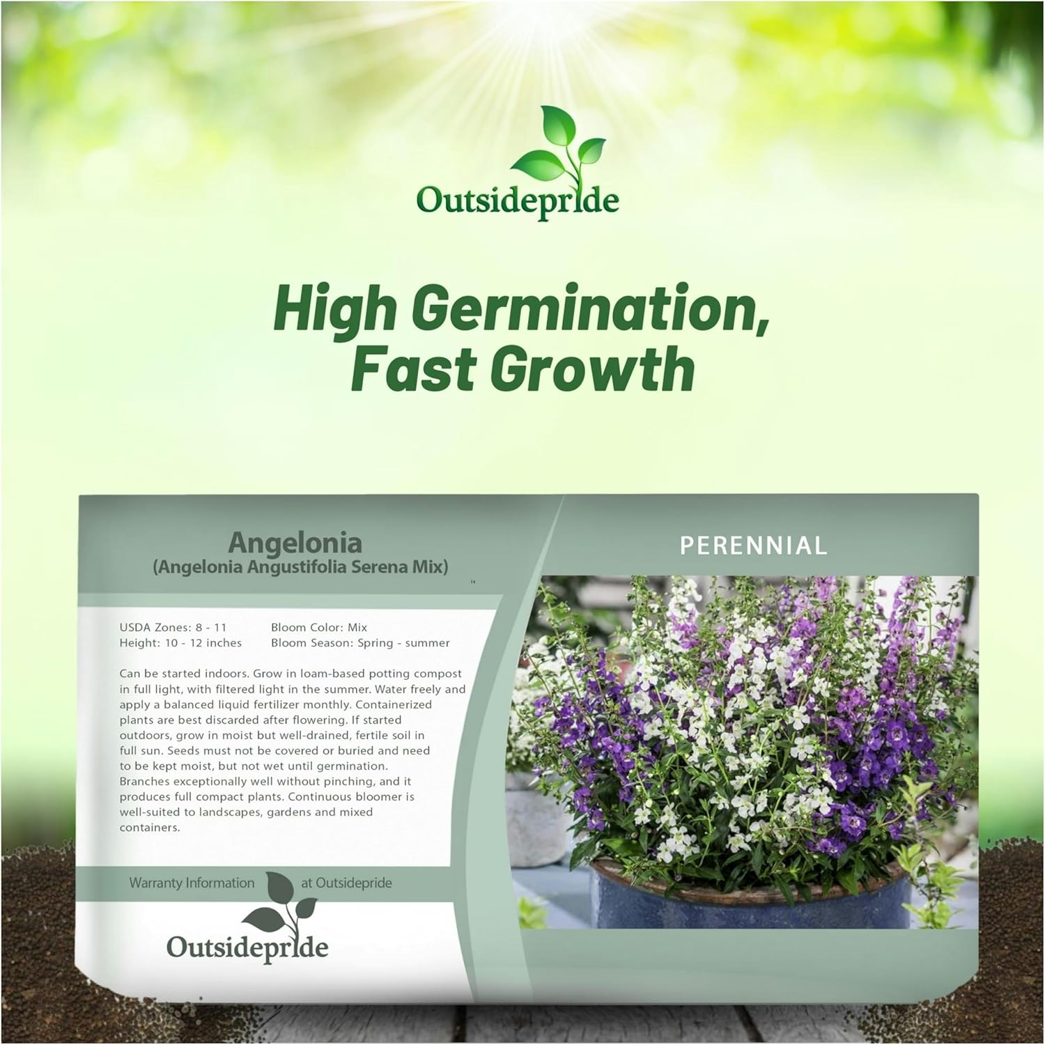 Angelonia Serena Seed Packet Mix