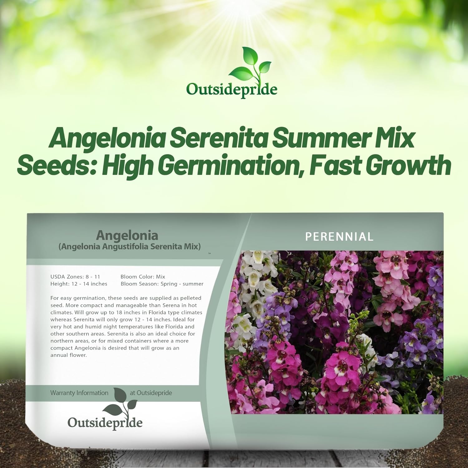 Angelonia Serenita Seed Packet Mixture