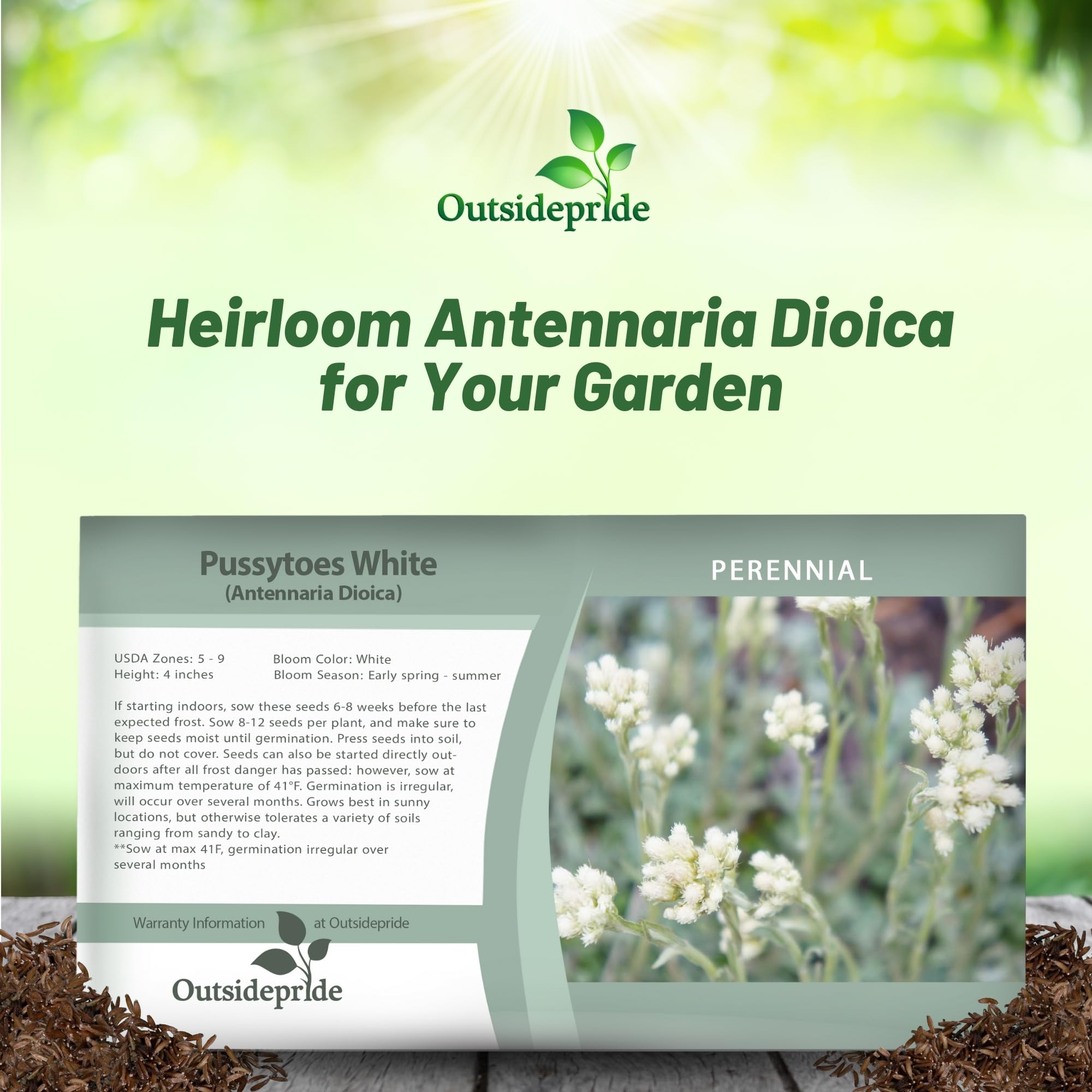 Antennaria White Ground Cover Seed Packet