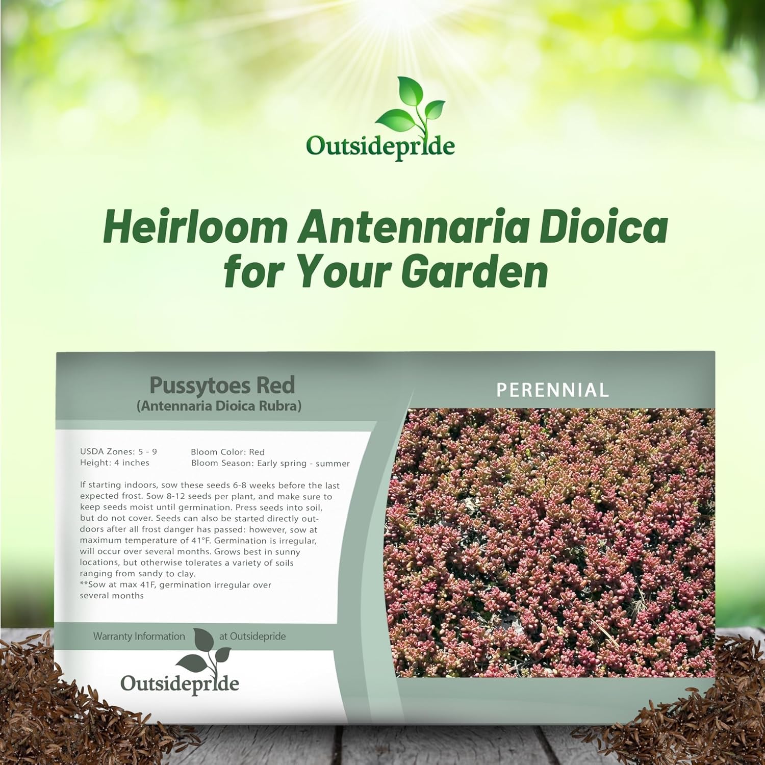 Antennaria Rubra Ground Cover Seed Packet